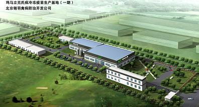 北京翎羽禽病防治技術(shù)開發(fā)與服務體系