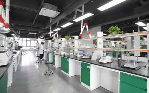 技術(shù)驅(qū)動(dòng)，全球布局 一家潤(rùn)滑油企業(yè)的出海新篇章