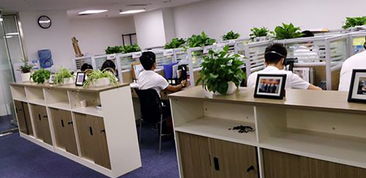 湖南企業(yè)管理咨詢行業(yè) 賦能企業(yè)成長，驅(qū)動區(qū)域經(jīng)濟新篇章